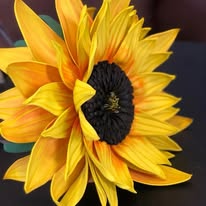 Sunflower Flower